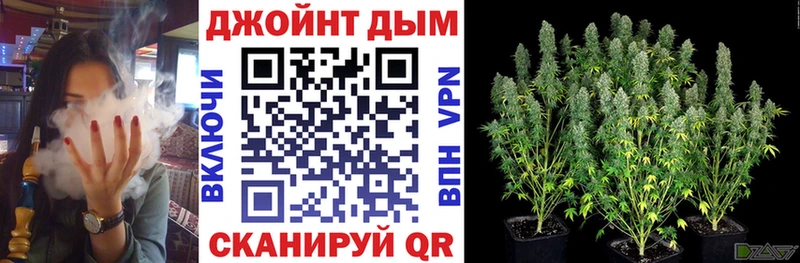 закладки  Старая Русса  hydra маркетплейс  Шишки марихуана Amnesia 